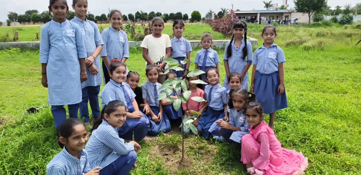 Tree Plantation and Clay Work