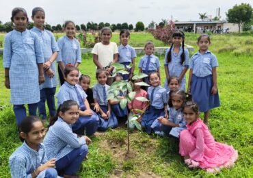 Tree Plantation and Clay Work