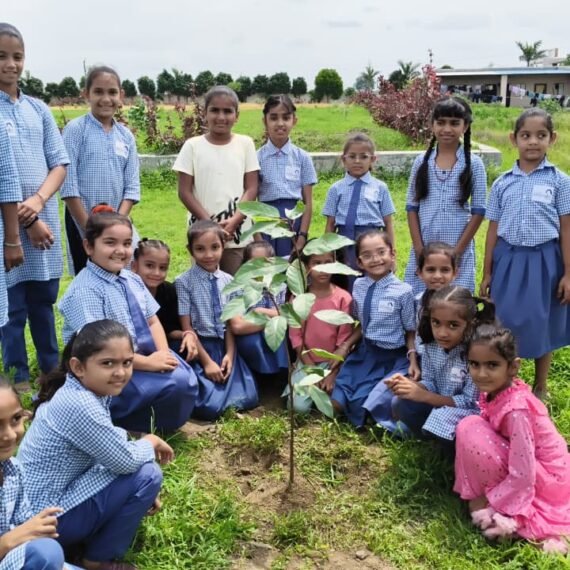Tree Plantation and Clay Work